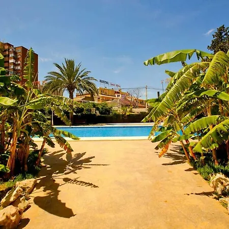 New Tridente Apartment